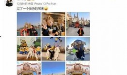 娱乐圈最新爆料文案,揭秘明星背后的惊人真相！