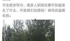 河北视频爆料最新消息,揭秘XX事件背后真相